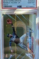Acuna